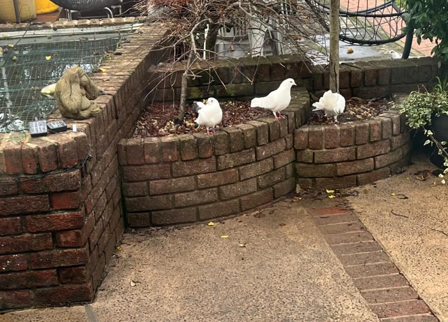 דירות קארדיף On The Common
